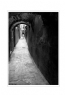 陈立文《情迷摩洛哥--与光影同行》摄影作品欣赏(8)_在线影展的作品