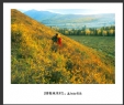 莫钧洵摄影作品欣赏(14)_在线影展的作品