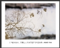 “韶关始兴、丹霞山三天采风团”摄影作品欣赏(37)_在线影展的作品