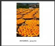 莫钧洵摄影作品欣赏(3)_在线影展的作品