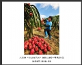 大泽镇“劳动者风采”摄影比赛获奖作品欣赏(43)_在线影展的作品