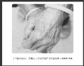“韶关始兴、丹霞山三天采风团”摄影作品欣赏(44)_在线影展的作品