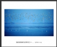 夏章烈“银湖湾候鸟”系列摄影作品欣赏(13)_在线影展的作品