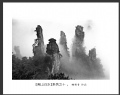 杨猗青 作品(6)_杨猗青的作品
