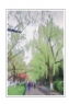 柳强《西湖翠柳四月天》摄影作品欣赏(2)_在线影展的作品