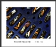 冯耀华“朝圣之旅”摄影作品欣赏(45)_在线影展的作品