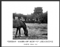 理想国旅杯―旅游摄影大赛”第四季比赛获奖作品欣赏(11)_在线影展的作品