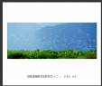 夏章烈“银湖湾候鸟”系列摄影作品欣赏(11)_在线影展的作品