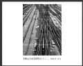 杨猗青 作品(1)_杨猗青的作品