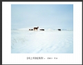 李毅仁“坝上冬韵”摄影作品欣赏(13)_在线影展的作品