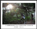2014届摄影基础班第七次作业（睦洲采风专题）获奖作品欣赏(13)_在线影展的作品
