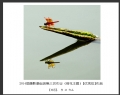 2014届摄影基础班第三次作业（荷花题材）获奖作品欣赏(14)_在线影展的作品