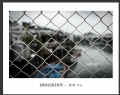 张斌“香港印象”摄影作品欣赏(15)_在线影展的作品