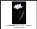 2014届摄影基础班第三次作业（荷花题材）获奖作品欣赏(17)_在线影展的作品