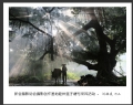 新会摄影协会摄影创作基地睦州莲子塘村采风活动作品欣赏(17)_在线影展的作品