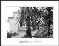 陈立武“画意徽居”摄影作品欣赏(1)_在线影展的作品