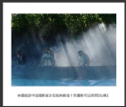 岑锡斌获中国摄影家杂志海南猴岛十杰摄影作品欣赏