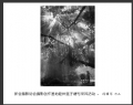 新会摄影协会摄影创作基地睦州莲子塘村采风活动作品欣赏(20)_在线影展的作品