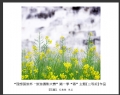 “理想国旅杯―旅游摄影大赛”第一季“春”主题获奖作品欣赏(21)_在线影展的作品