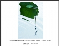 2014届摄影基础班第三次作业（荷花题材）获奖作品欣赏(21)_在线影展的作品
