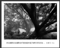 新会摄影协会摄影创作基地睦州莲子塘村采风活动作品欣赏(21)_在线影展的作品