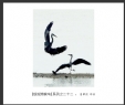 夏章烈“银湖湾候鸟”系列摄影作品欣赏(1)_在线影展的作品