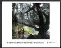 新会摄影协会摄影创作基地睦州莲子塘村采风活动作品欣赏(23)_在线影展的作品