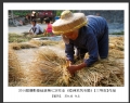 2014届摄影基础班第七次作业（睦洲采风专题）获奖作品欣赏(24)_在线影展的作品