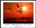 理想国旅杯―旅游摄影大赛”第四季比赛获奖作品欣赏(26)_在线影展的作品