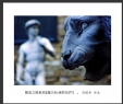 冯耀华“朝圣之旅”摄影作品欣赏(28)_在线影展的作品