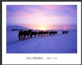 李毅仁“坝上冬韵”摄影作品欣赏(2)_在线影展的作品