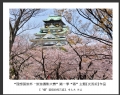 “理想国旅杯―旅游摄影大赛”第一季“春”主题获奖作品欣赏(2)_在线影展的作品