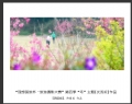 理想国旅杯―旅游摄影大赛”第四季比赛获奖作品欣赏(2)_在线影展的作品