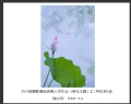2014届摄影基础班第三次作业（荷花题材）获奖作品欣赏(32)_在线影展的作品