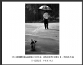 2014届摄影基础班第七次作业（睦洲采风专题）获奖作品欣赏(36)_在线影展的作品