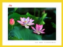 红丝带——关爱、支持与奉献”公益摄影展作品欣赏(34)_在线影展的作品