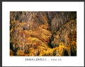 许庭相 作品(13)_许庭相的作品