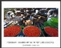 “理想国旅杯―旅游摄影大赛”第一季“春”主题获奖作品欣赏(3)_在线影展的作品