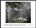新会摄影协会摄影创作基地睦州莲子塘村采风活动作品欣赏(40)_在线影展的作品