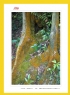 红丝带——关爱、支持与奉献”公益摄影展作品欣赏(42)_在线影展的作品