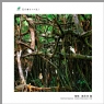 “葵乡”摄影作品展作品欣赏(6)_在线影展的作品
