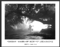 理想国旅杯―旅游摄影大赛”第四季比赛获奖作品欣赏(4)_在线影展的作品