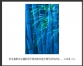 新会摄影协会摄影创作基地睦州莲子塘村采风活动作品欣赏(54)_在线影展的作品