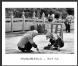 谭剑华 作品(6)_谭剑华的作品