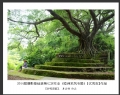 2014届摄影基础班第七次作业（睦洲采风专题）获奖作品欣赏(5)_在线影展的作品