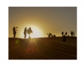 苏月嫦《走进迪拜》摄影作品欣赏(16)_在线影展的作品