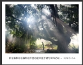 新会摄影协会摄影创作基地睦州莲子塘村采风活动作品欣赏(62)_在线影展的作品