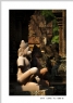 新会区摄影协会2014年会员作品展获奖作品欣赏(25)_在线影展的作品