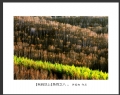 许庭相 作品(8)_许庭相的作品