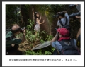 新会摄影协会摄影创作基地睦州莲子塘村采风活动作品欣赏(8)_在线影展的作品